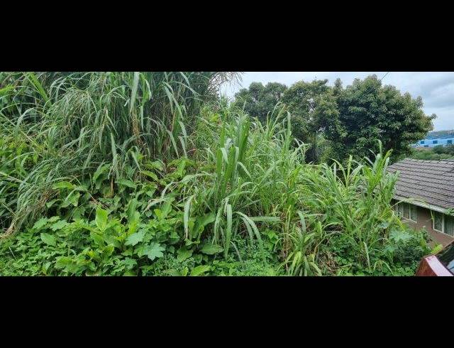 3,699M² VACANT LAND FOR SALE IN AVOCA